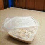 Microworms Panagrellus Redivivus breeding set