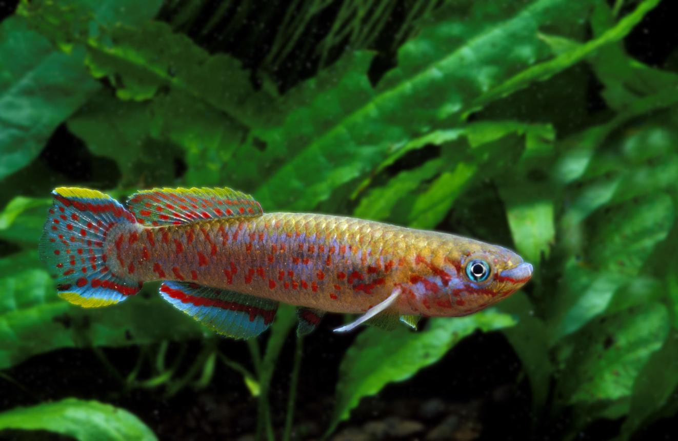 https://images.openai.com/static-rsc-4/_PHUKGbIrYMPR9BbQJIs-NQwJ78aPEgDfHyA_9TRNUWMO5Y9NRpNcRmozjYUfnu9tieBnUG5YobCiB5o5JIZr0hJmEWd7lYkOrEW-UgtG78OKMnj2wI9OCXZS4eeAgS03F3M3Gq8zXAM3MYMQoWEWGRaLkYYhlo02XyKZZoBwhZh7JU5HWTT7SODa65EL0qo?purpose=fullsize